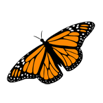 GIF animado (8429) Monarca moviendo alas