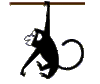 GIF animado (9692) Mono