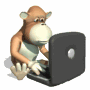 GIF animado (9709) Mono con un ordenador portatil