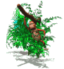 GIF animado (9715) Mono en un arbol