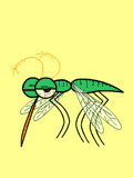 GIF animado (8505) Mosquito