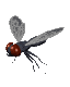 GIF animado (8510) Mosquito