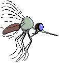 GIF animado (8511) Mosquito