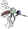 GIF animado (8511) Mosquito