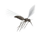 GIF animado (8513) Mosquito