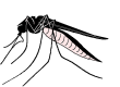 GIF animado (8514) Mosquito