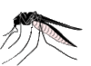 GIF animado (8514) Mosquito