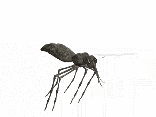 GIF animado (8515) Mosquito