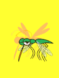 GIF animado (8518) Mosquito aplastado