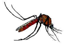 GIF animado (8544) Mosquito sangre