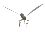 GIF animado (8548) Mosquito volando