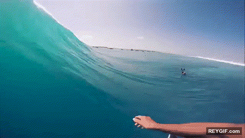 GIF animado (116350) Navegando una increible ola en primera persona