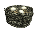 GIF animado (7130) Nido con huevos