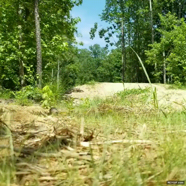 GIF animado (116628) No hemos visto lo que ha pasado pero se puede intuir