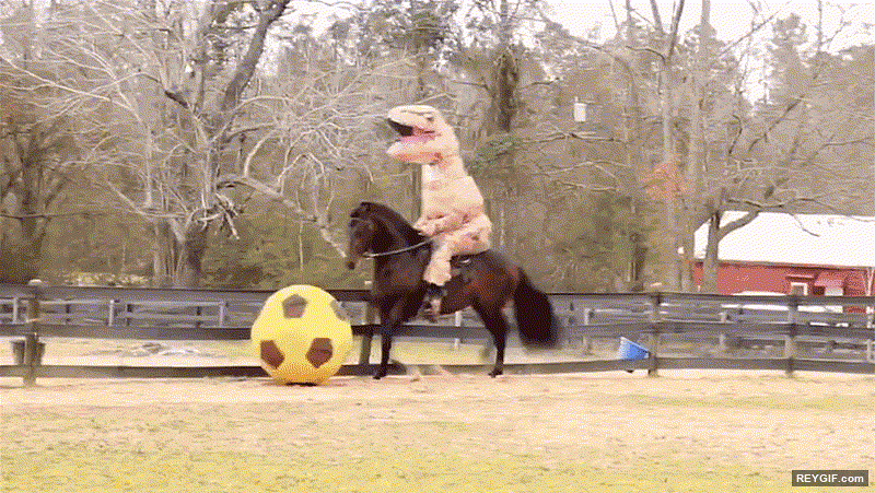 GIF animado (116695) Nunca pense que veria un tiranosaurio jugando a futbol montado en un caballo