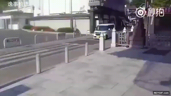 GIF animado (116551) Ojala todos los conductores y peatones fuesen tan educados