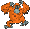 GIF animado (9783) Orangutan