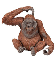GIF animado (9784) Orangutan