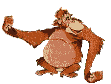 GIF animado (9787) Orangutan