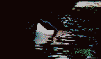 GIF animado (6225) Orca en el agua