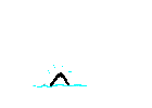 GIF animado (6231) Orca saltando en el agua