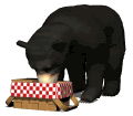 GIF animado (10282) Oso negro robando un picnic