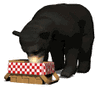 GIF animado (10282) Oso negro robando un picnic