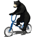 GIF animado (10284) Oso negro sobre una bicicleta