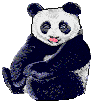 GIF animado (10297) Oso panda