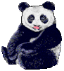 GIF animado (10297) Oso panda