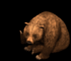 GIF animado (10361) Oso pardo negro