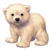 GIF animado (10397) Oso polar peluche