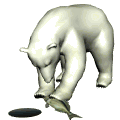 GIF animado (10398) Oso polar pescando