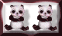 GIF animado (2322) Osos panda enamorados