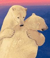 GIF animado (2327) Osos polares romanticos