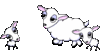 GIF animado (9843) Oveja corderos