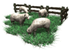 GIF animado (9863) Ovejas pastando