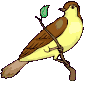 GIF animado (7153) Pajaro