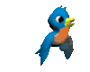 GIF animado (6714) Pajaro azul
