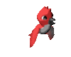 GIF animado (6715) Pajaro rojo