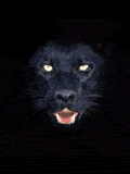 GIF animado (9877) Pantera negra