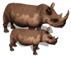 GIF animado (9994) Pareja de rinocerontes