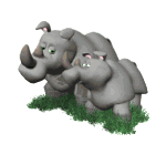 GIF animado (9995) Pareja de rinocerontes