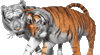 GIF animado (10020) Pareja tigres