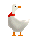 GIF animado (7210) Pato
