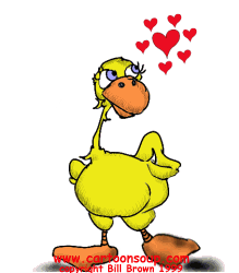 GIF animado (2400) Pato enamorado