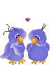 GIF animado (2402) Patos enamorados