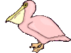 GIF animado (7301) Pelicano