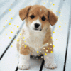GIF animado (10632) Perrito