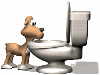 GIF animado (10956) Perro bebiendo en el vater